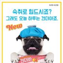 위드아이스크림
