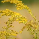 대한법률구조공단 이미지