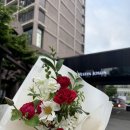 웨스틴조선호텔 스시조 디너 후기 임산부 초밥 오마카세 추천