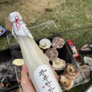 중앙물회 - 포항시 남구 | 중앙물회
