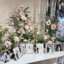 하루미 | 아이폰스냅후기 < 하루미스냅 >