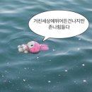 더망고
