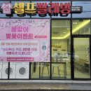 워시프렌즈황금