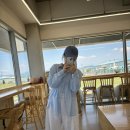 하이멍 애견카페 네이버블로그