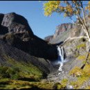 장백농장 이미지