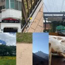 문래중학교 앞 이미지