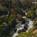 동건쌤미용학원 네이버블로그