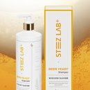 스티즈