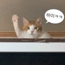 동원성 - 수원시 장안구 수성로327번길 12-20 | 동원성