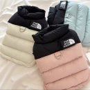 도그스타일 이미지