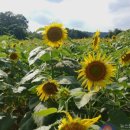 이반성면-3 이미지