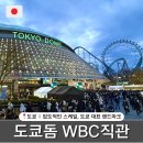 Jy 단장 | [일본] 도쿄돔 WBC 한일전 직관 후기 : 5만 관중 열기 미쳤다 (+ 입장, 좌석 컨디션)