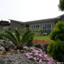 금산펜션 이미지