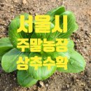 햇빛농장2 이미지