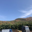 돌성저수지 | 11/15~11/16 거제도 여행