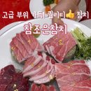 참조은참치 이미지