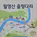 인공폭포 및 바닥분 | 금산 월영산 출렁다리 주차 부엉산전망대 인공폭포 걷기 코스 맛집
