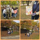 🌳도토리 학교 - 숲체험 🍂＜우주반＞ 이미지