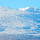 평지농장 이미지