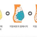 연세로즈엘의원 이미지