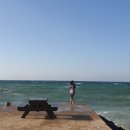 신창전자 이미지