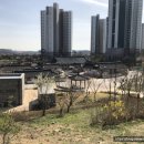 동산아트 앞 네이버블로그