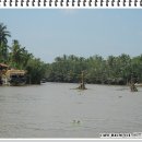 베트남여행-베트남의 젖줄 메콩델타..200km를가다...메콩투어..3탄 이미지