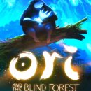 숲속의오리 이미지