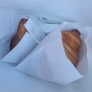 무초프루토 이미지