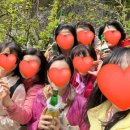 백담계곡 이미지