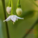 청원 행정사 이미지