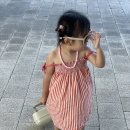 제주마음샌드, 몽그레 제주보리 구름과자, 아침미소목장 우유샌드, 허쉬 초콜릿 칩 감귤 모찌 쿠키...