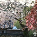 실상사 - 부안군 | 실상사