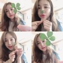 네잎클로버 이미지