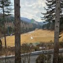 양지-2853 이미지