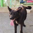 광산구-119 이미지