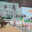 경북 구미 에코랜드 산림문화관 놀이터 짚라인 아이와 실내 가볼만한 곳