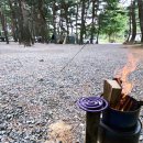 솔바다캠핑장 이미지