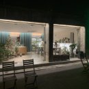 피다(Pida) 이미지