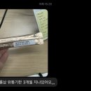4월을 좋아해!
