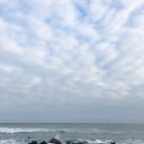 무유인(MUIN) 이미지