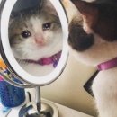 만나푸드(구)밥사랑한식부페2호점) | [공지] [결혼일기] 🎀W.5 본격 대구 밝은 웨딩홀 비교...그리고 최종결정!💖 (노비아갈라 동촌 포레아...