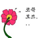 하늘보세
