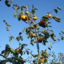 산마루농장 이미지