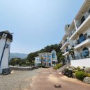 야자수 풀빌라 이미지