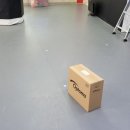 용인대 동아태권도장 이미지