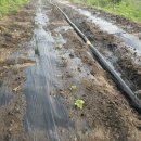 금주농장 이미지