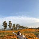 개진주유소 이미지