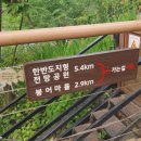 청춘매점