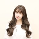 붙임머리 - 화성시 | 붙임머리